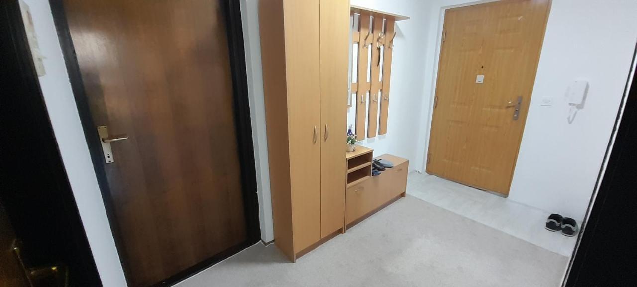 Cozy And Sunny Apartment Near The Airport ซาราเยโว ภายนอก รูปภาพ